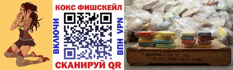 Наркотические вещества Каменногорск МЕТАДОН  А ПВП  МЕФ  Бошки Шишки  Кокаин  KRAKEN ССЫЛКА  ГАШИШ 