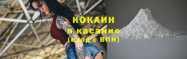 стафф Медногорск