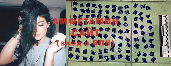 стаф Вязьма